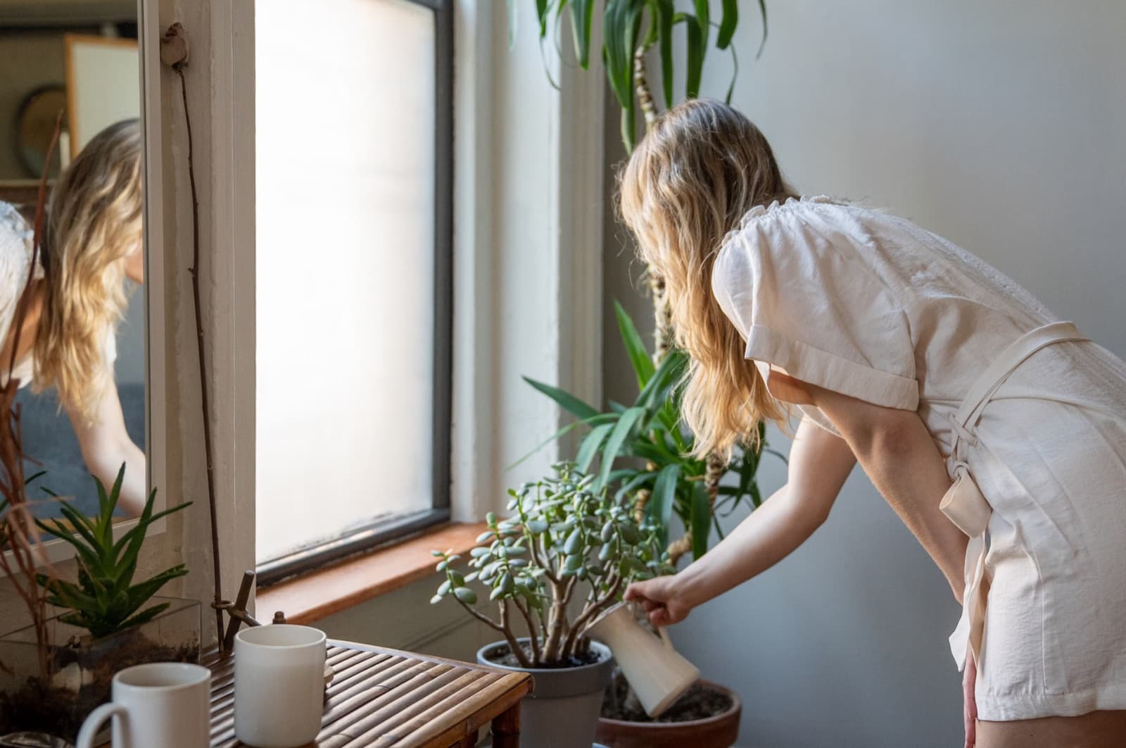 Queen of Coins Yes or No: A Grounded Tarot Answer for Love, Career, and Money